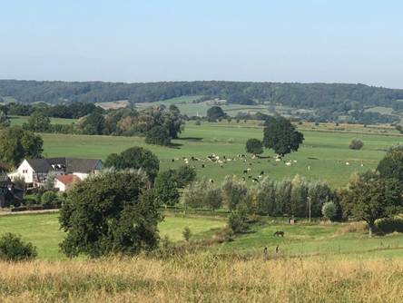 Afbeelding met gras, buiten, veld, lucht

Automatisch gegenereerde beschrijving
